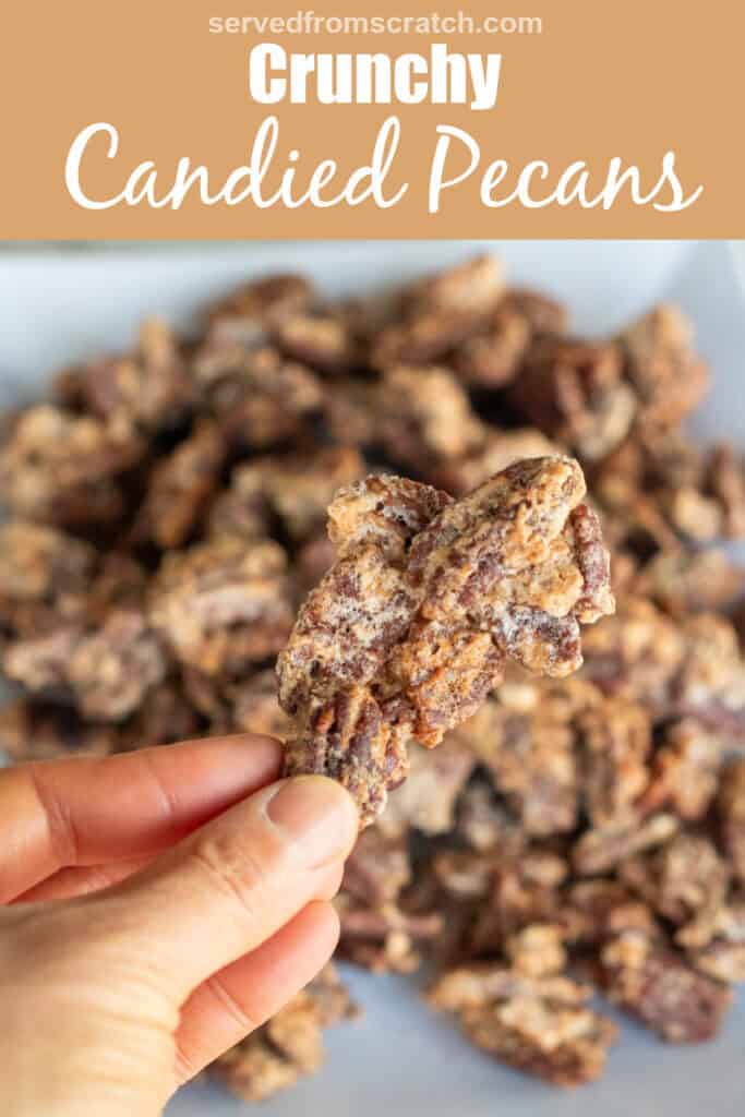 a hand holding some crunchy candied pecans and Pinterest pin text.