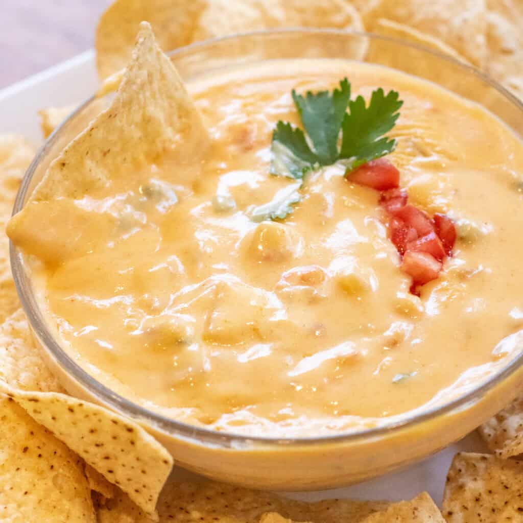 a bowl of creamy queso surrounded chips and with a chip in the bowl.