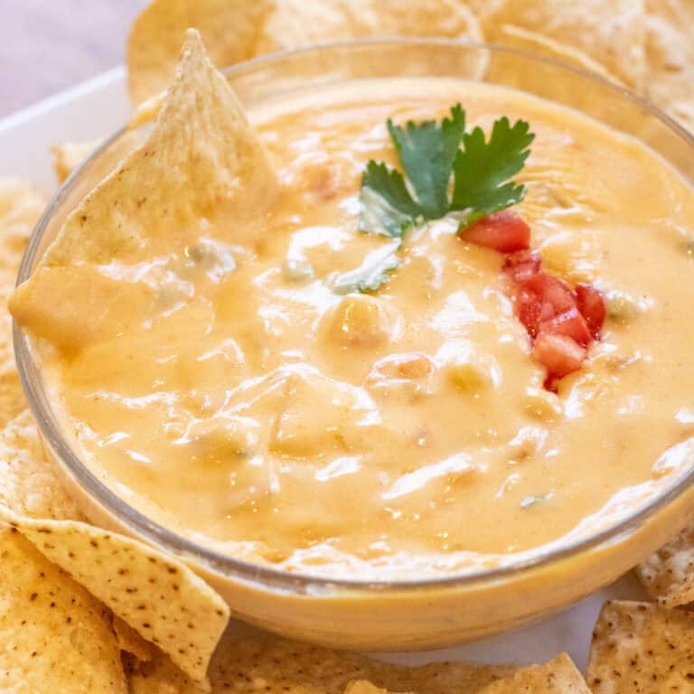 a bowl of creamy queso surrounded chips and with a chip in the bowl.