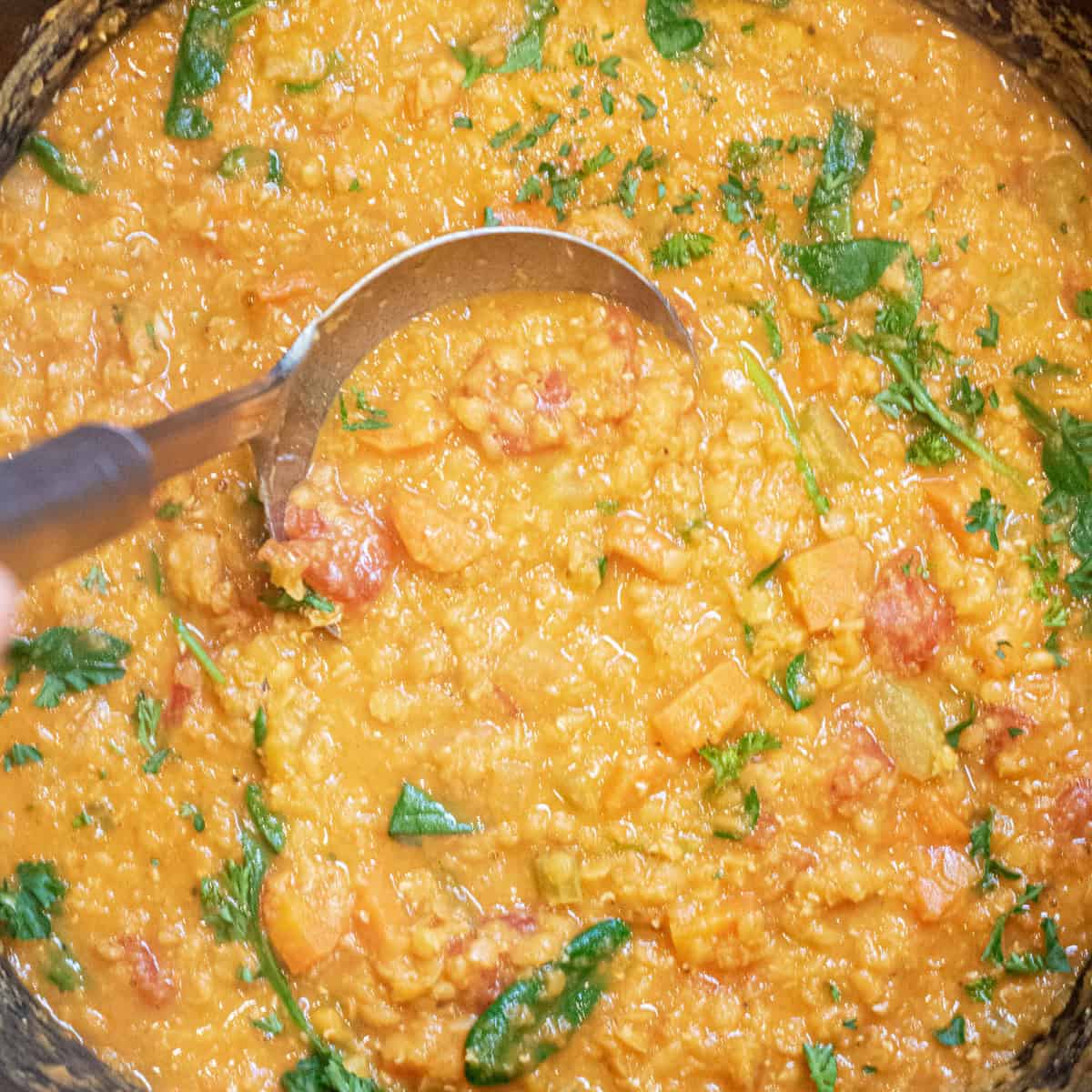 an overhead of a creamy lentil stew with a ladle in it.