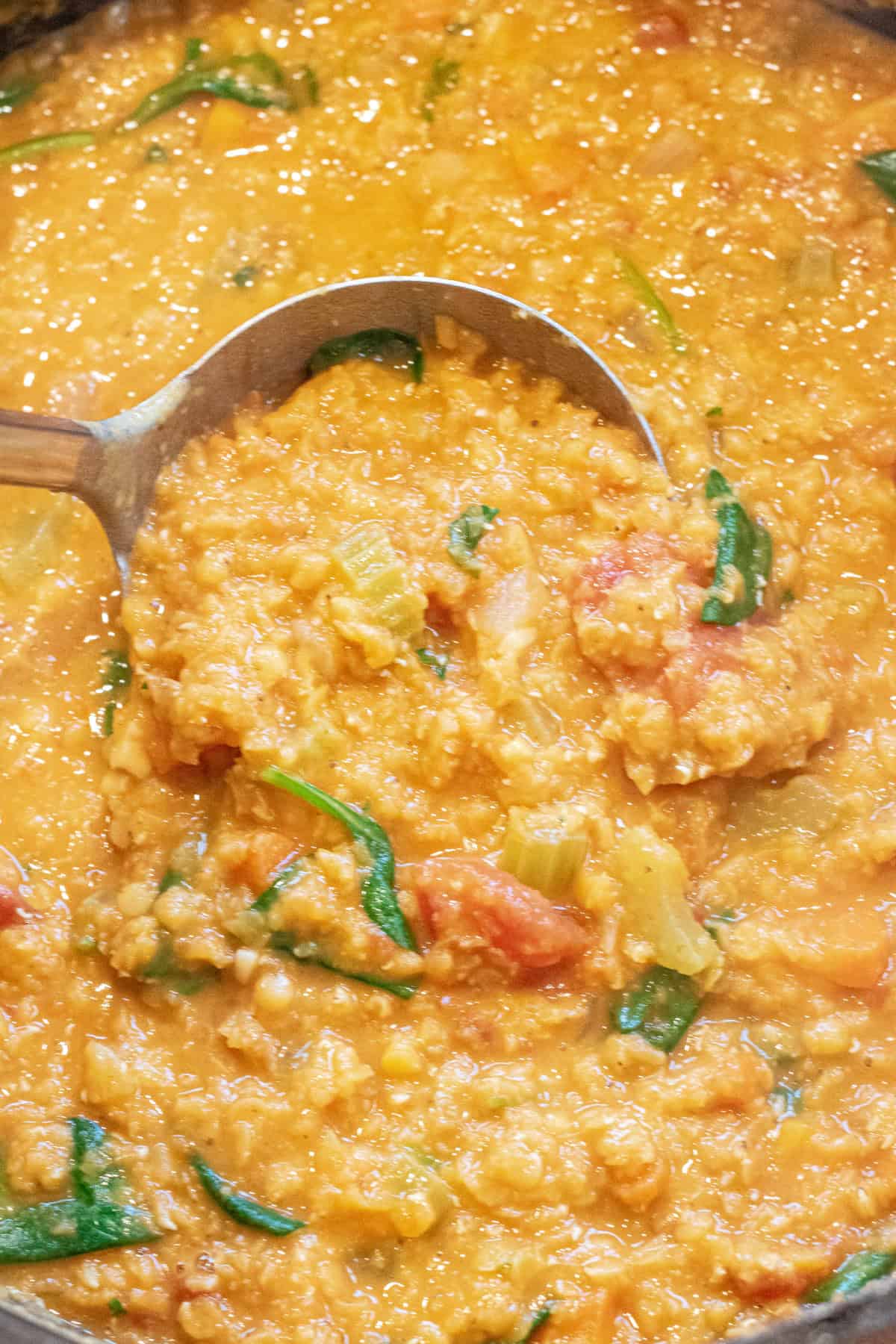 an overhead of a creamy lentil stew with a ladle in it.
