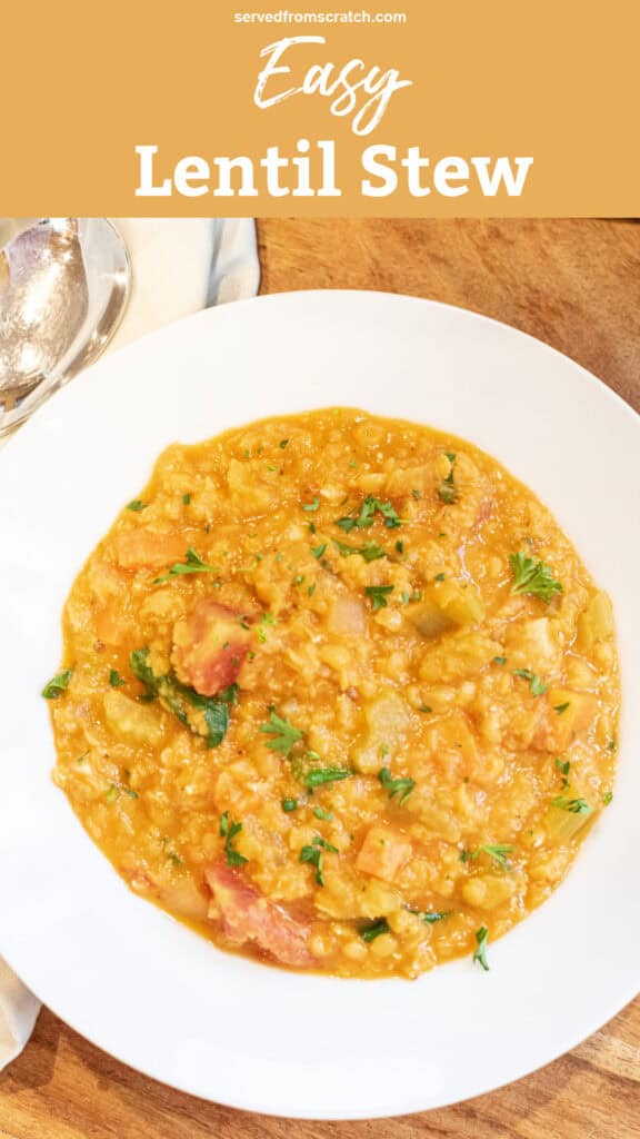 an overhead of a bowl of of creamy lentil stew.
