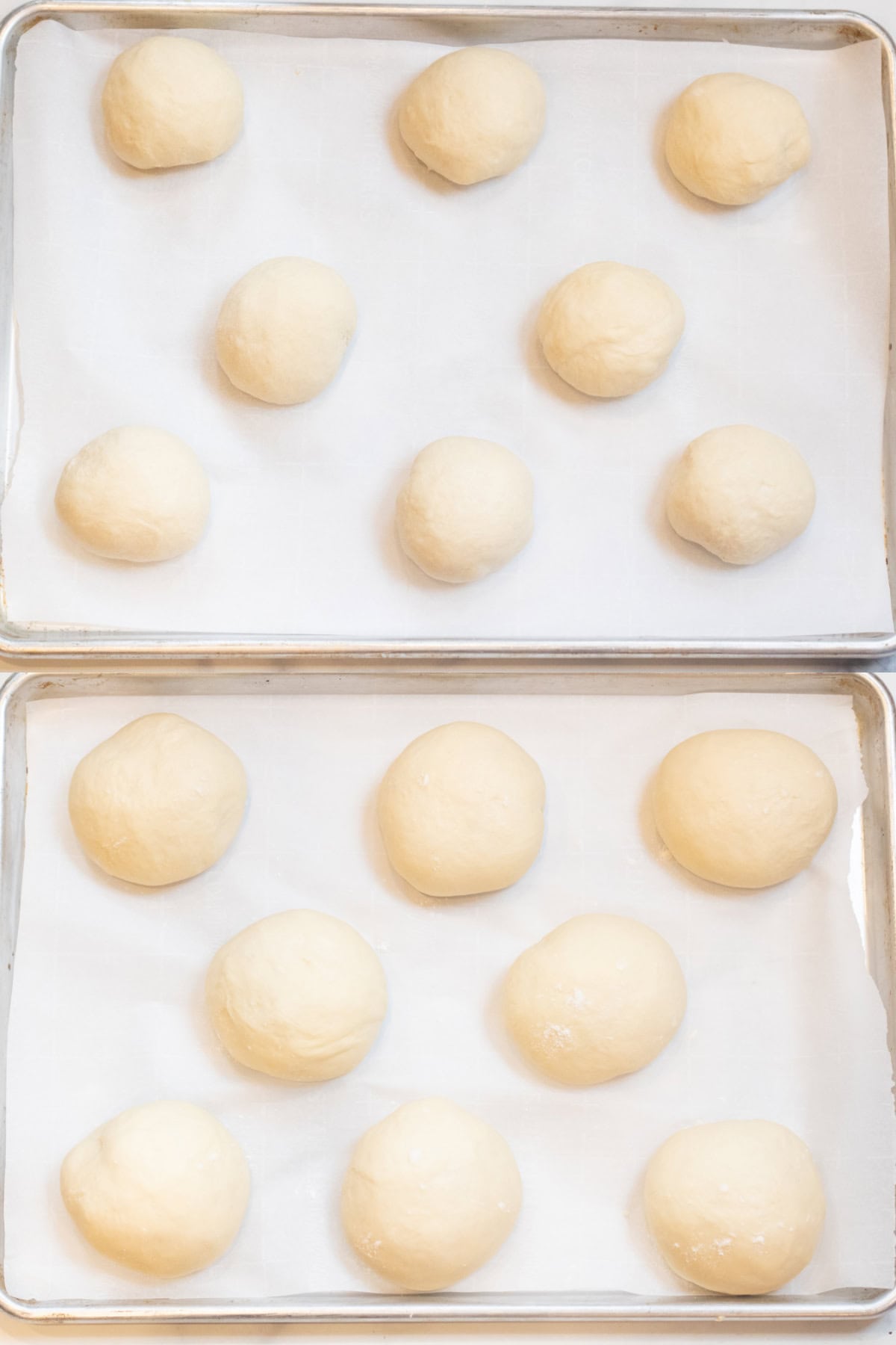 two trays, one of dough balls on parchment paper and the next of the dough balls risen. 