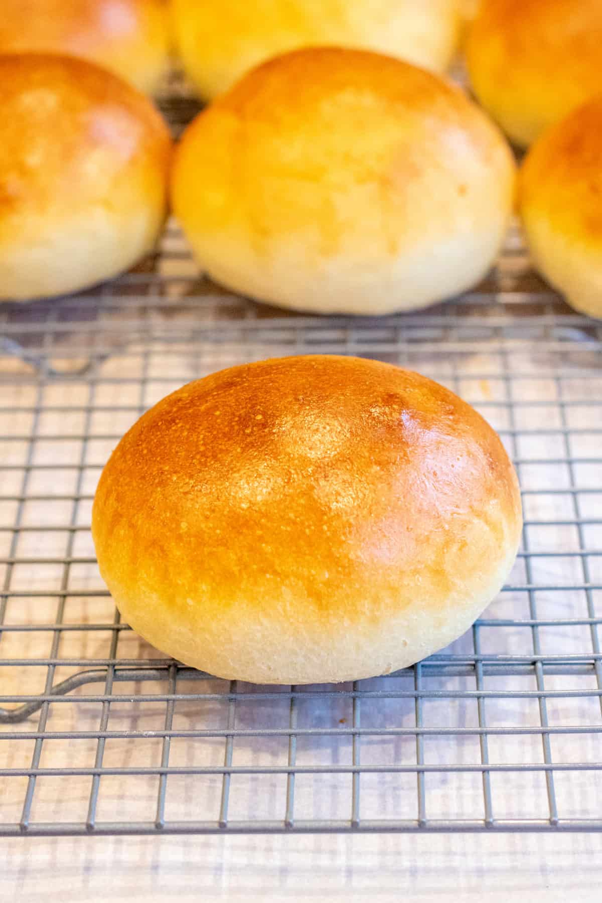 a baked brioche bun on a cooling rack with other buns. 