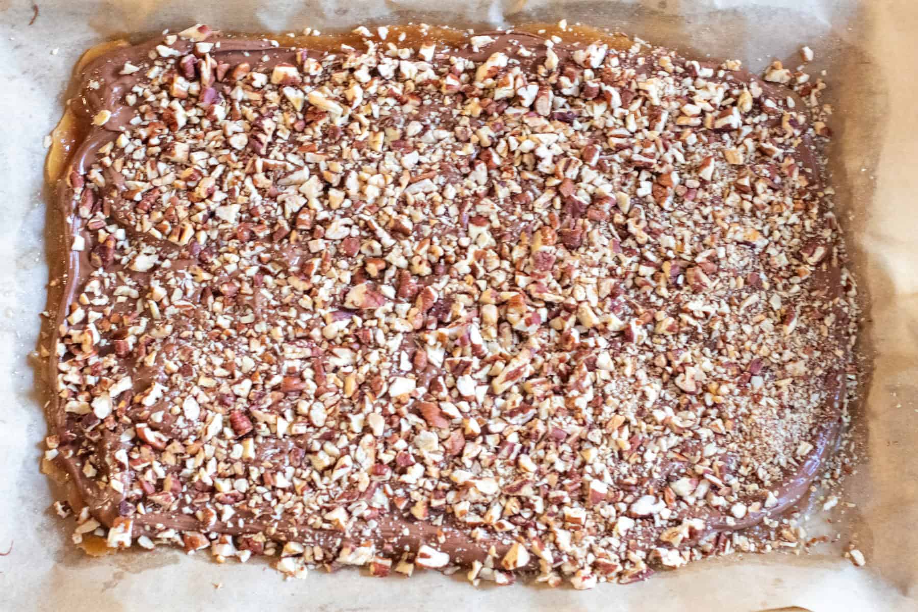 an overhead of a tray of pecan and chocolate covered toffee.