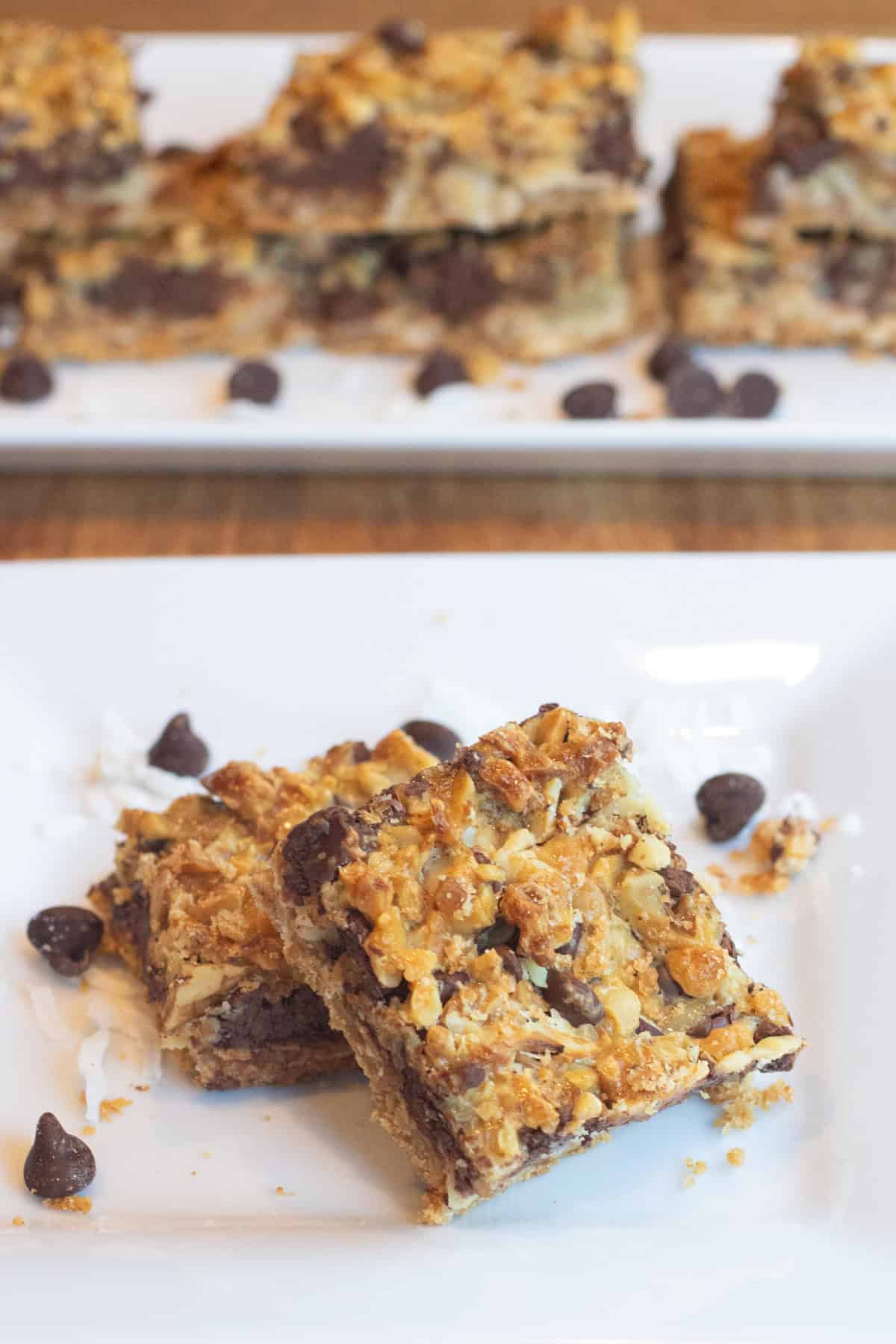 two dessert bars with chocolate chips and coconut layered on a white plate.
