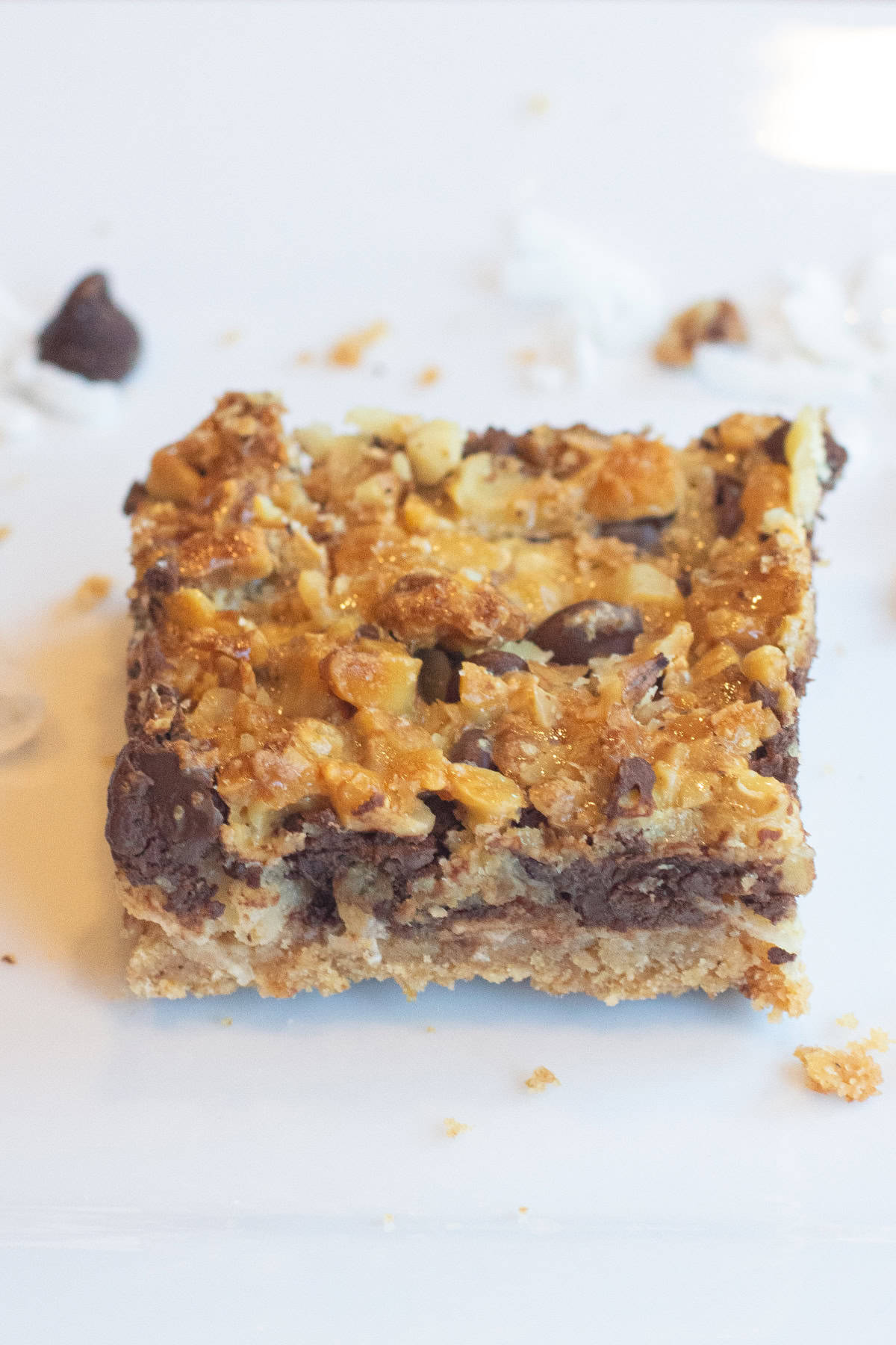 a layered dessert bar with graham crackers, chocolate, coconut, baked on a white plate.
