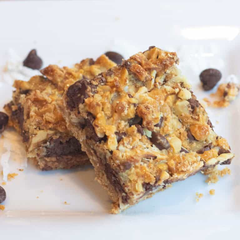 two dessert bars with chocolate chips and coconut layered on a white plate.