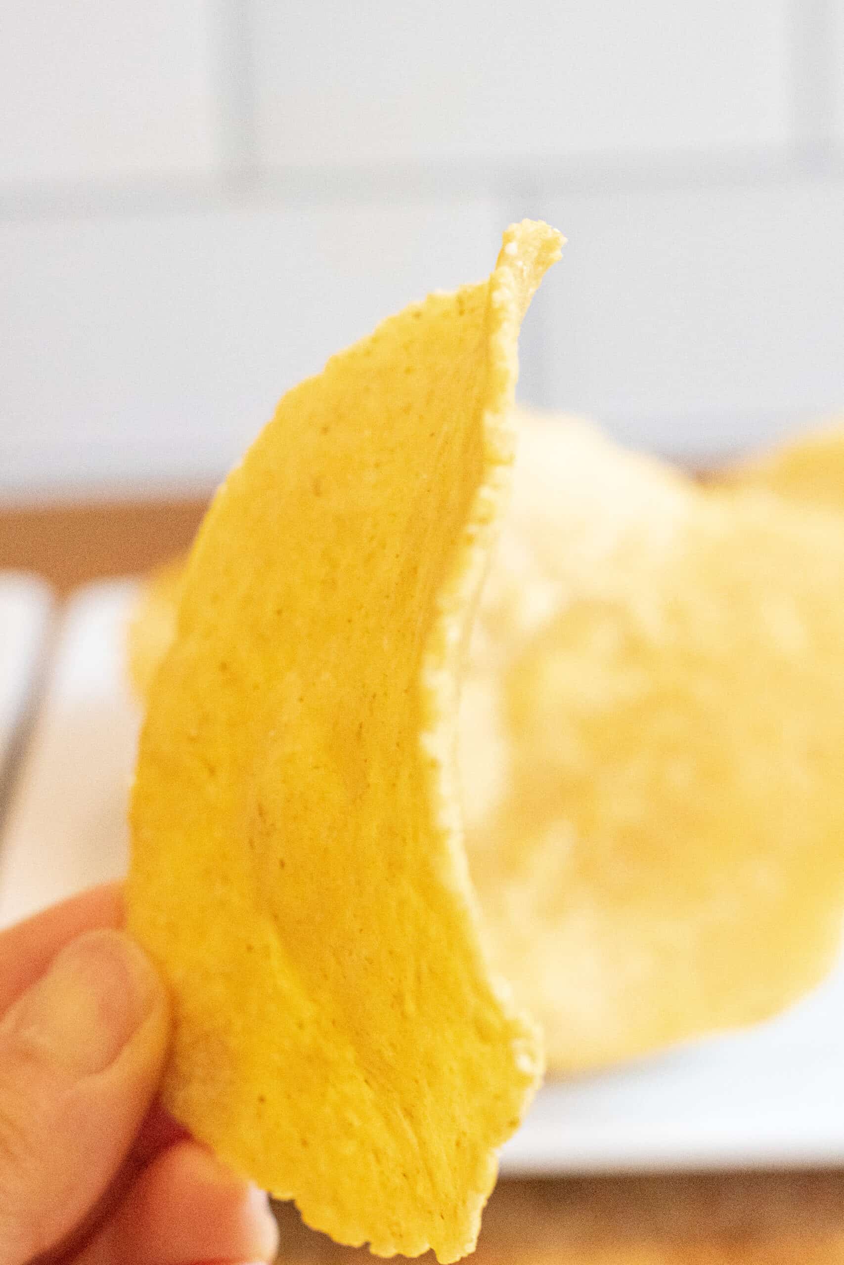 a hand holding a thin crispy tostada shell.