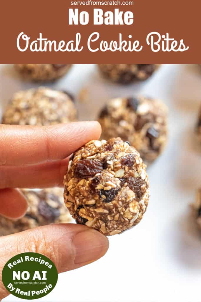 a hand holding a rolled oat ball with raisins and Pinterest pin text and NO AI sticker.