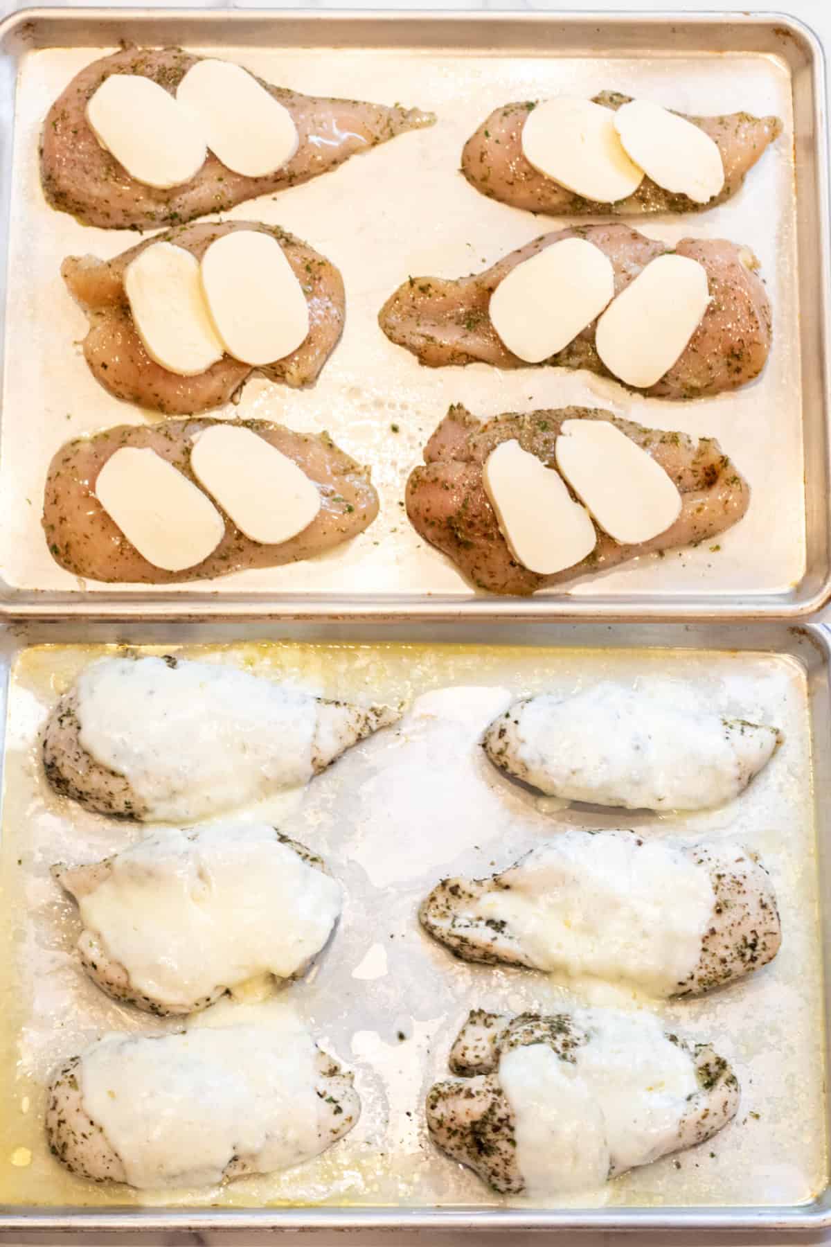 a tray of raw seasoned chicken with slices of mozzarella on them and then the same tray with the mozzarella melted on the chicken.