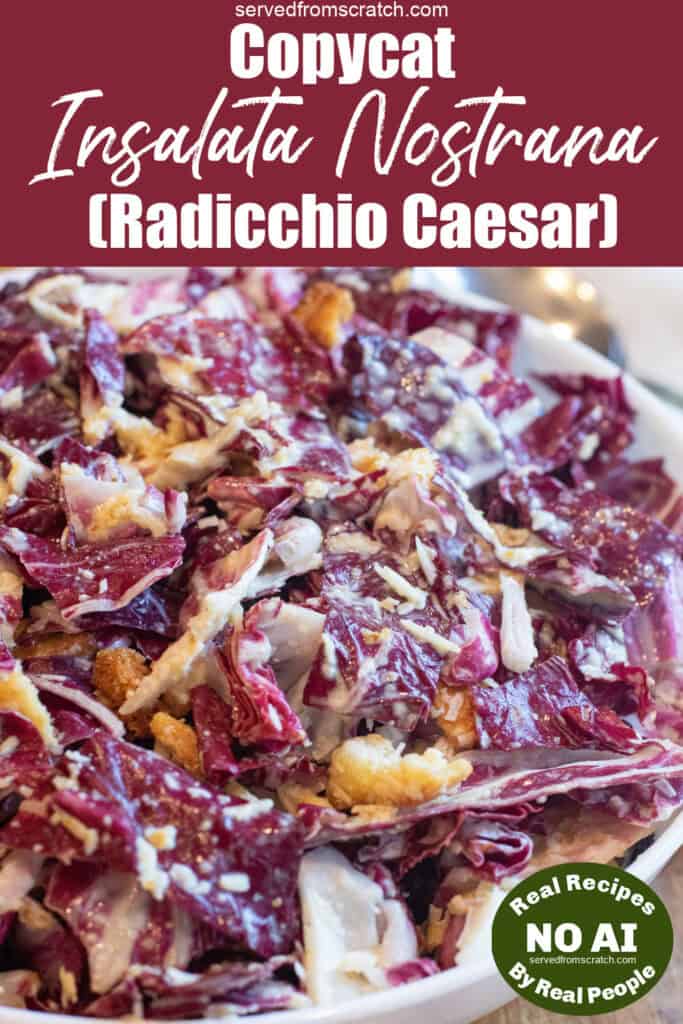 an overhead of a bowl of radicchio caesar with Pinterest pin text and NO AI sticker.