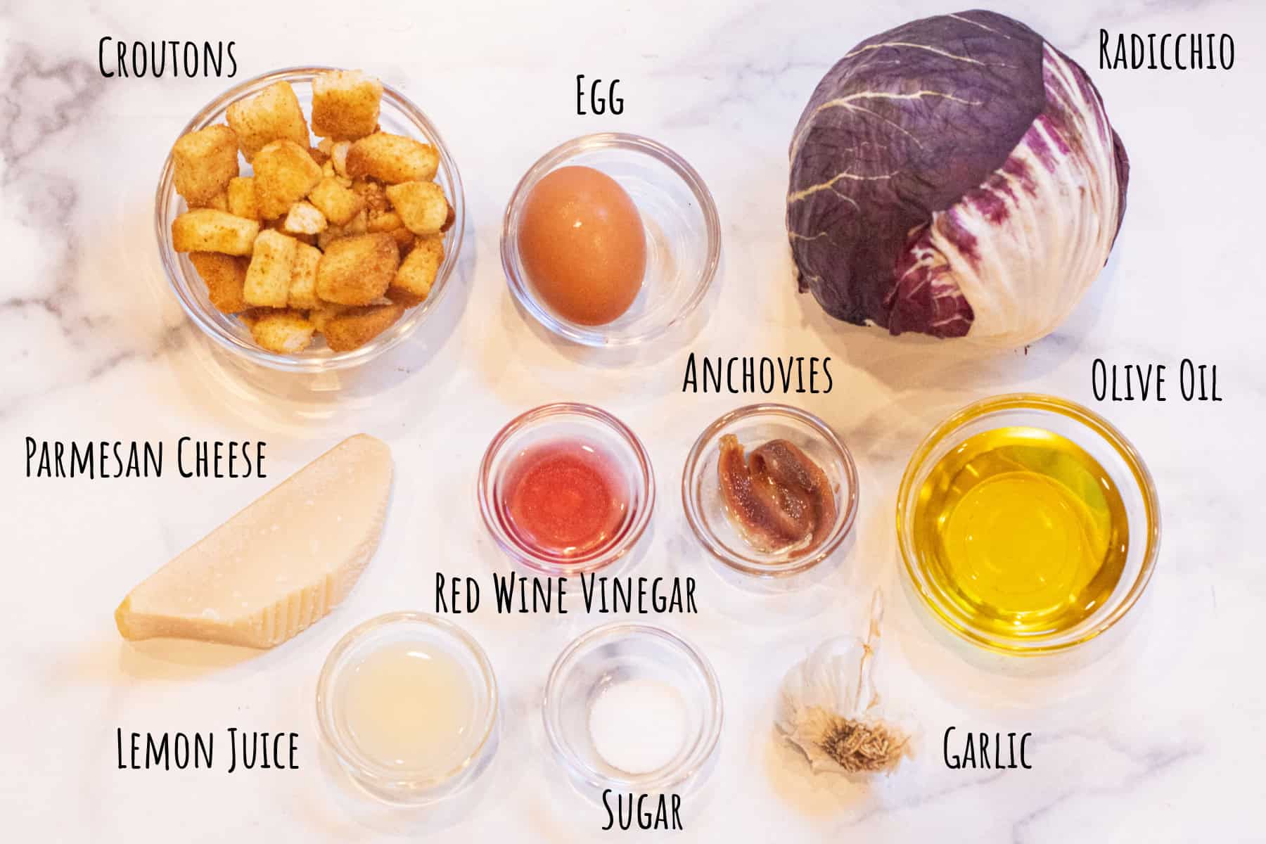 bowls of croutons, olive oil, anchovies, red wine vinegar, lemon juice, egg, sugar, with a head of radicchio, Parmesan cheese, garlic, all labeled.